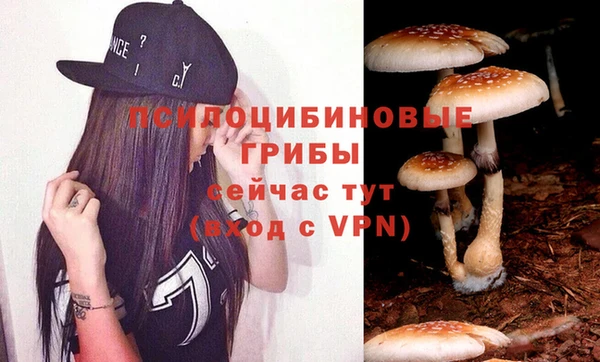 круглые Бронницы