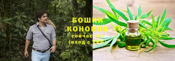 МДМА Бородино
