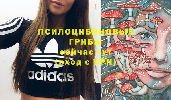 круглые Бронницы
